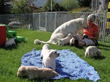 4 Wochen (13)