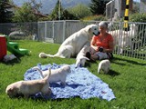 4 Wochen (14)