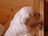 4 Wochen (2)