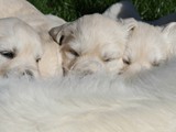4 Wochen (20)
