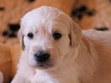 4 Wochen (5)