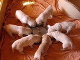 4 Wochen (8)