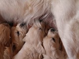 4 Wochen (9)